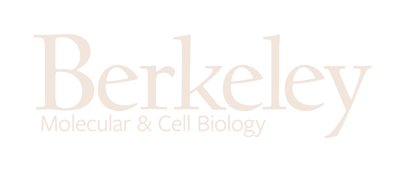 Berkeley Molecular & Cell Biology